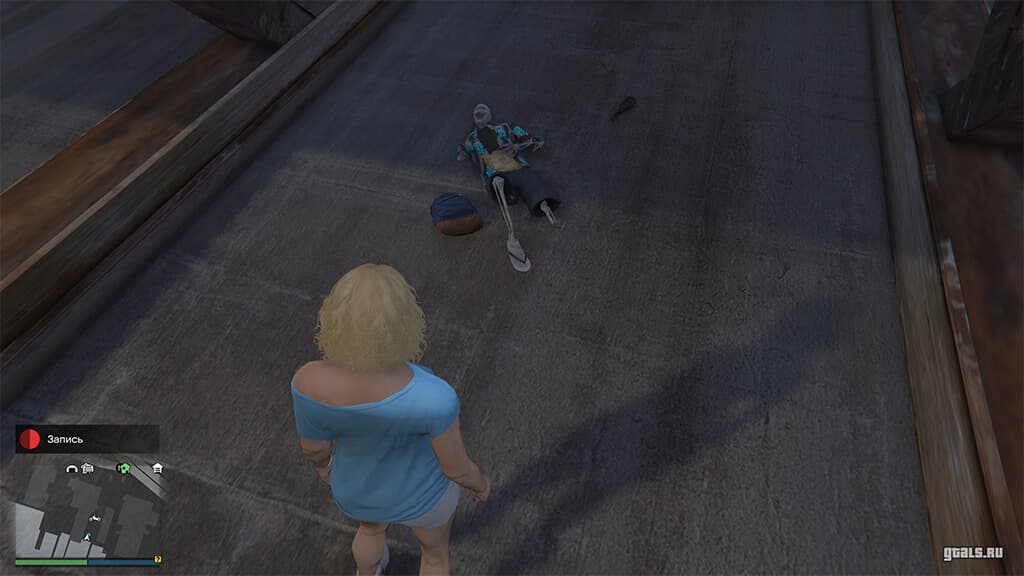 GTA Online, Из сети