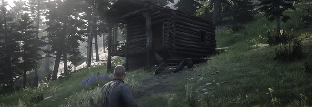 Red Dead Redemption 2, Из сети
