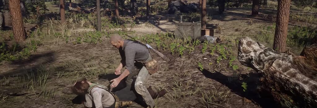 Red Dead Redemption 2, Из сети