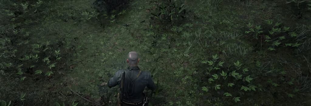 Red Dead Redemption 2, Из сети