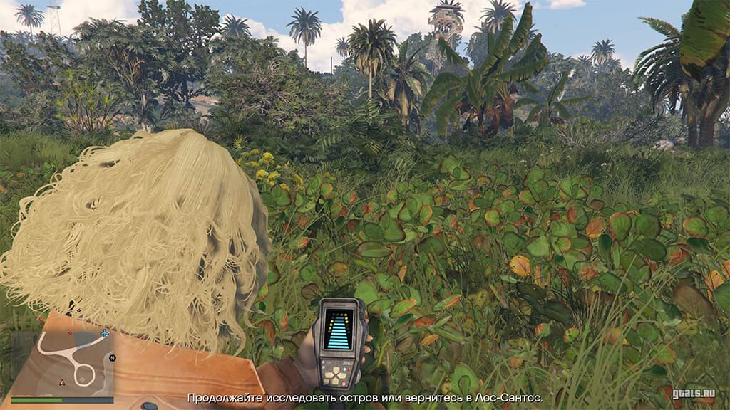 GTA Online, Из сети