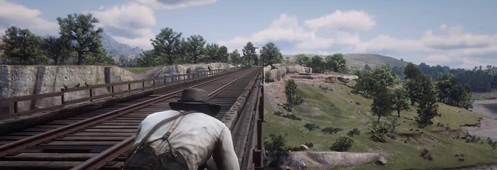 Red Dead Redemption 2, Из сети