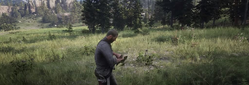 Red Dead Redemption 2, Из сети