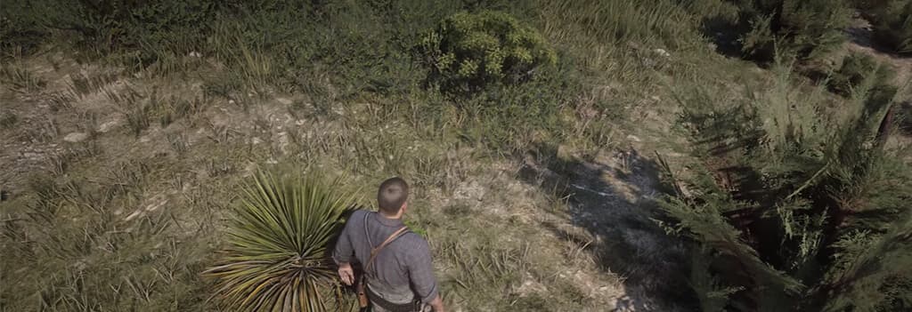 Red Dead Redemption 2, Из сети
