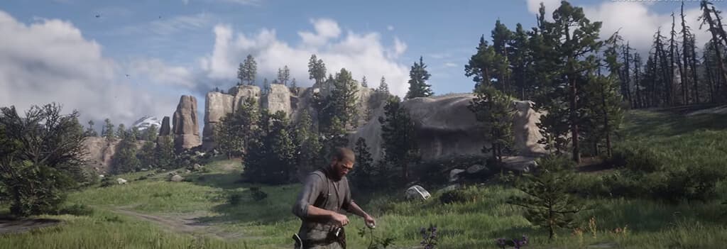 Red Dead Redemption 2, Из сети