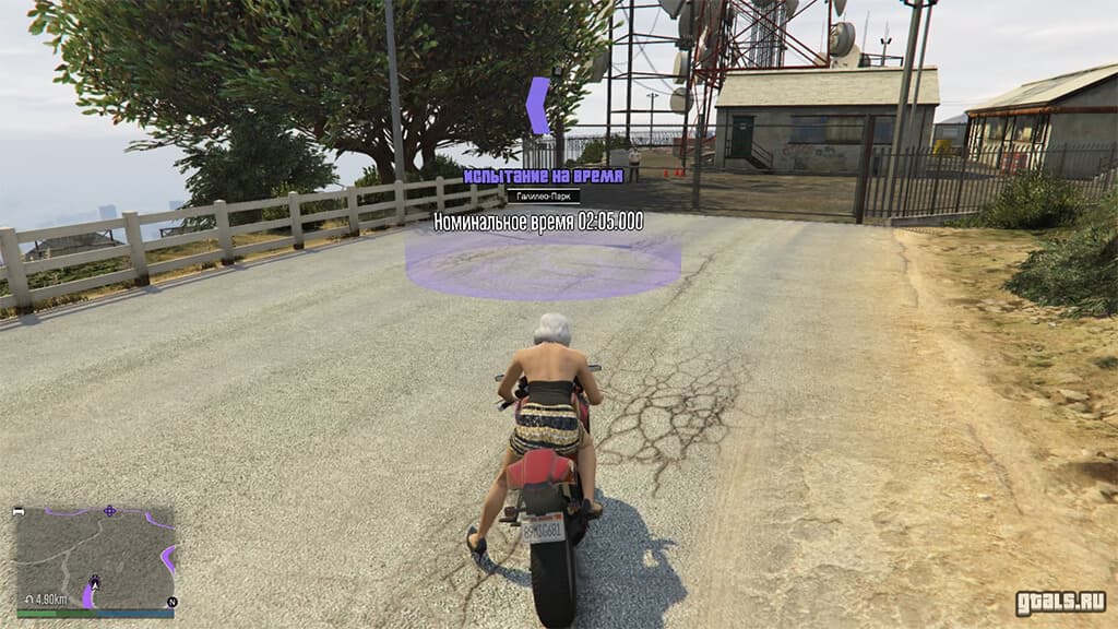 GTA Online, Из сети