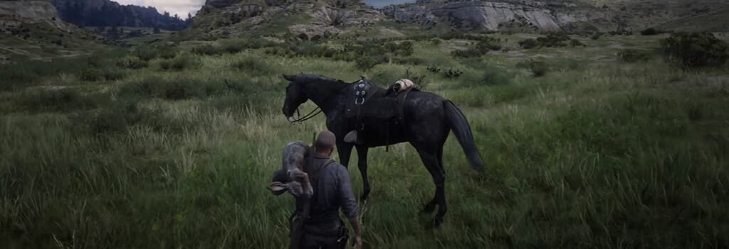 Red Dead Redemption 2, Из сети