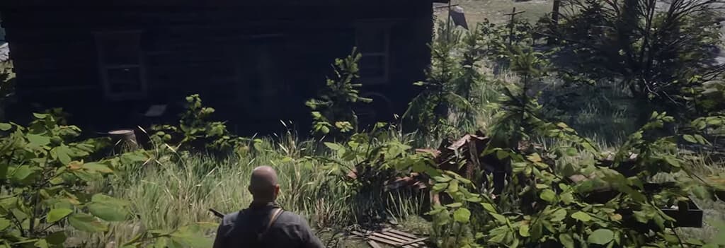 Red Dead Redemption 2, Из сети