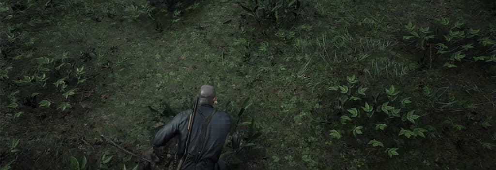 Red Dead Redemption 2, Из сети