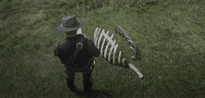 Местонахождение всех костей динозавров в Red Dead Redemption 2