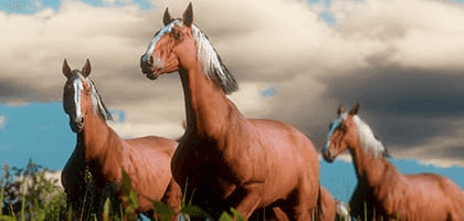 Живая природная среда в Red Dead Redemption II