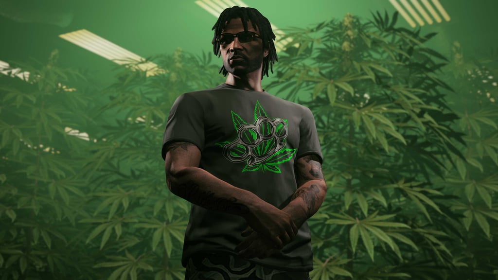 Одежда 420 в GTA Online