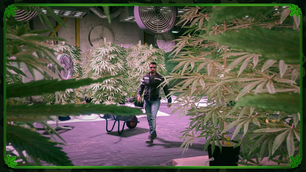Гидропонный цех в GTA Online