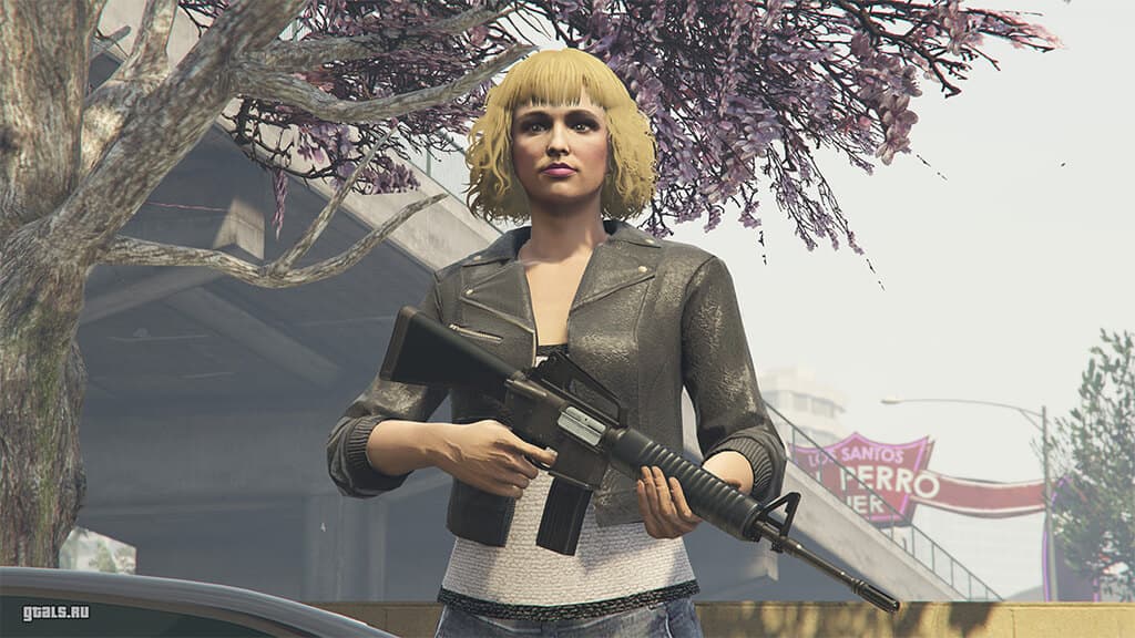 GTA Online, Из сети