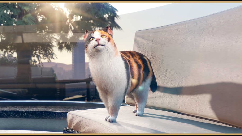 Кошка, GTA Online