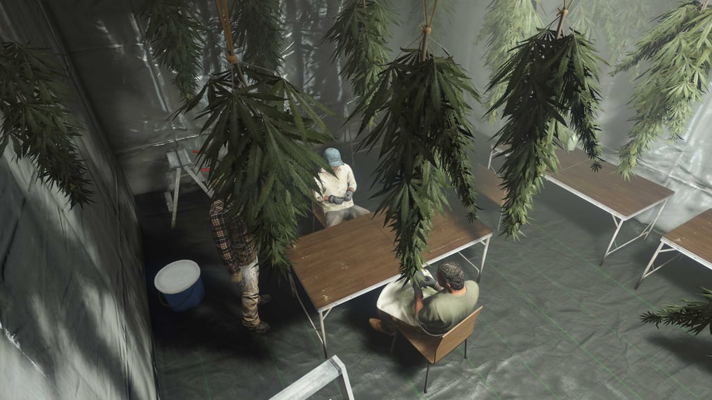 Гидропонный цех, GTA Online